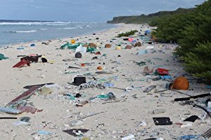 How To Avoid Harmful Waste At Your Next Event