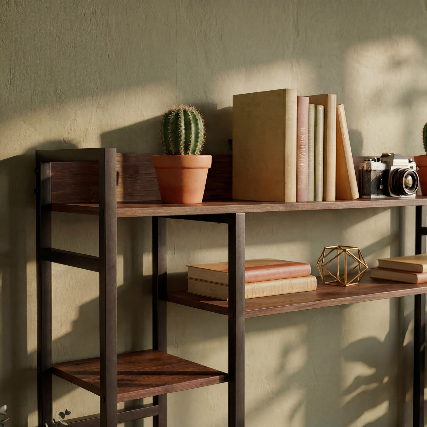 Shelf ladder design